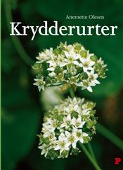 Krydderurter